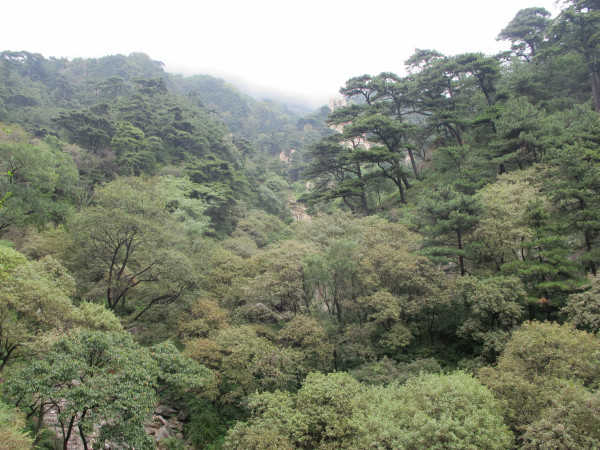 泰山有多少个台阶每个台阶多高 wKgB6lQNhlKAKSxYABYTkx3P5g072.jpeg?imageView2%2F2%2Fw%2F600%2Fq%2F90%7CimageMogr2%2Fstrip%2Fquality%2F90