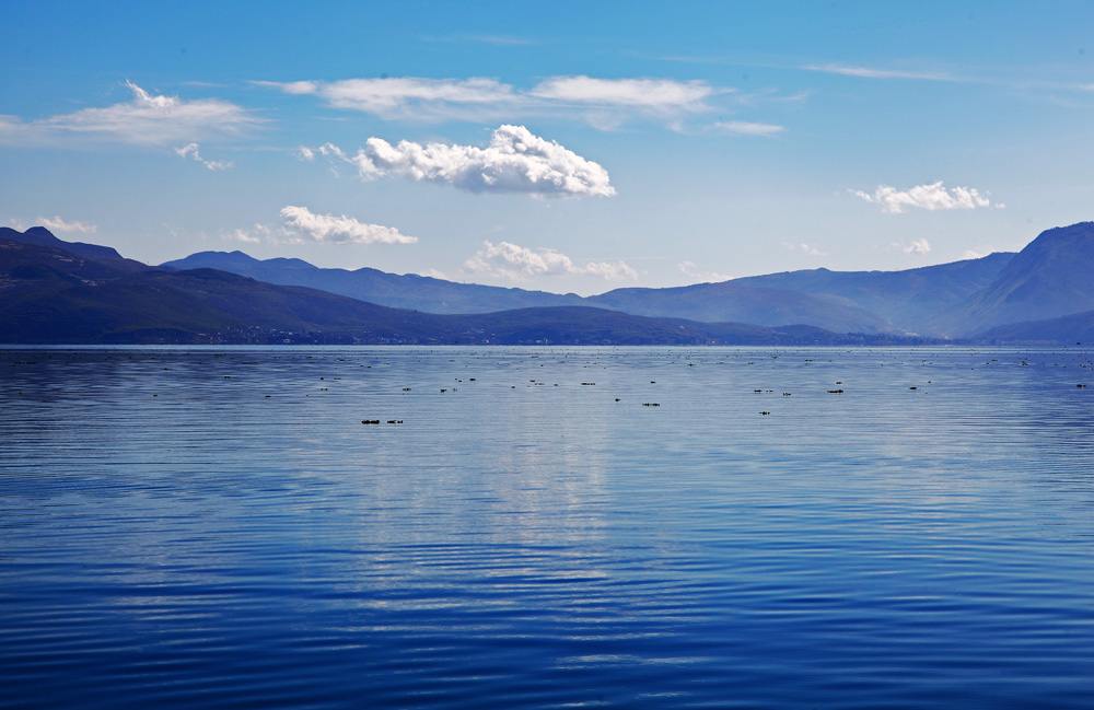 wKgB6lR8IheAMxLkAANVJRzNmGU91.jpeg?imageView2%2F2%2Fw%2F600%2Fh%2F600%2Fq%2F90