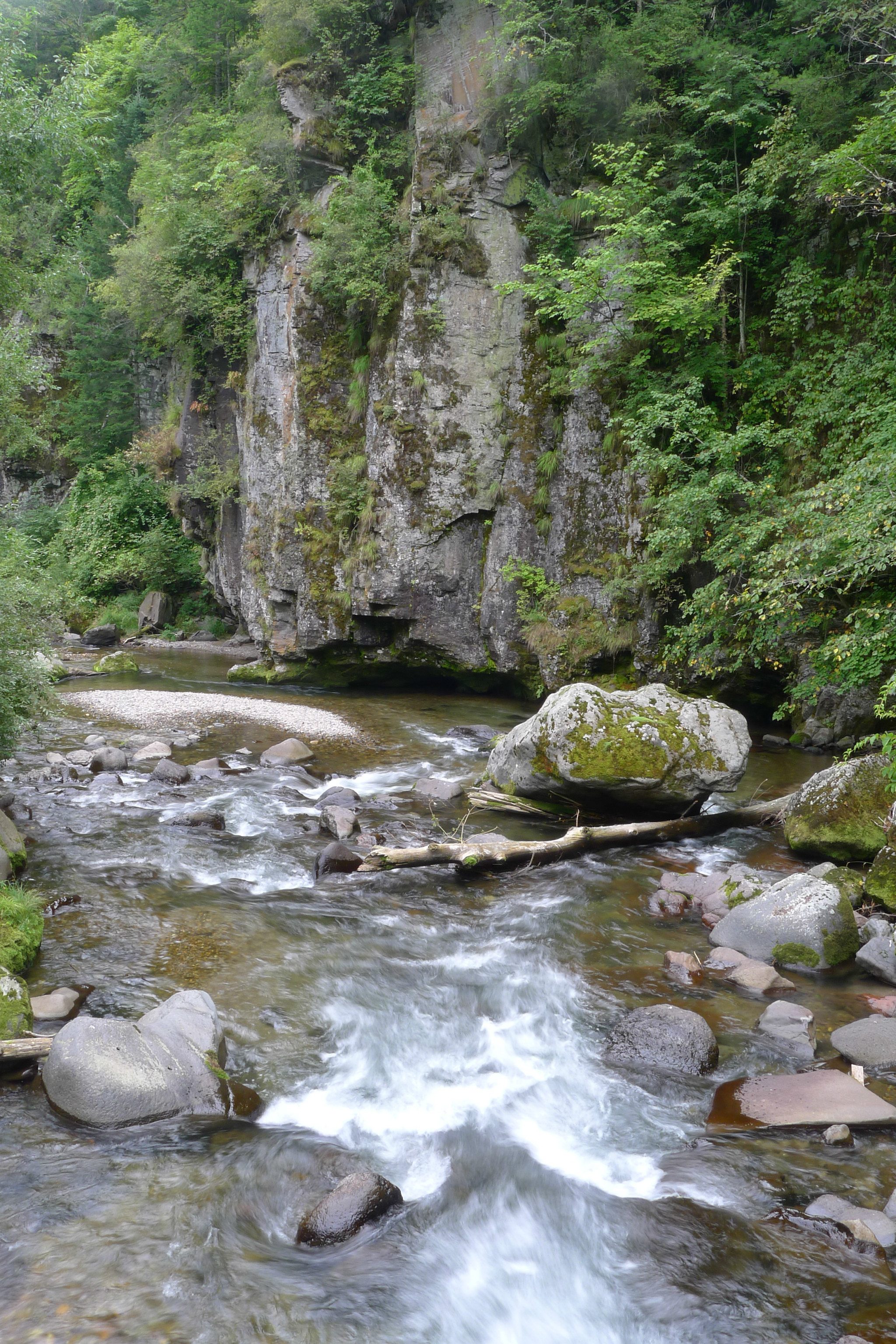 会老友·游长白山(二)望天鹅十五道沟