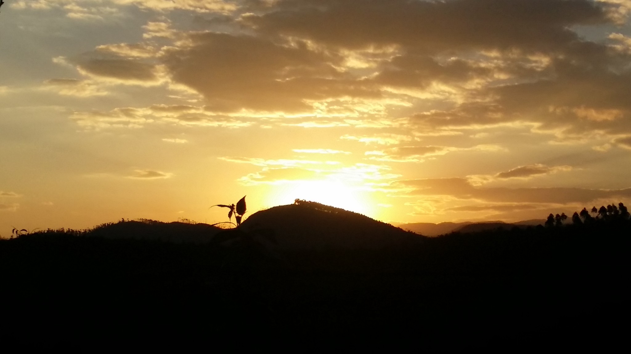 wKgB6lTM0uaAJVycAAOF3erb5n843.jpeg?imageView2%2F2%2Fw%2F600%2Fh%2F600%2Fq%2F90