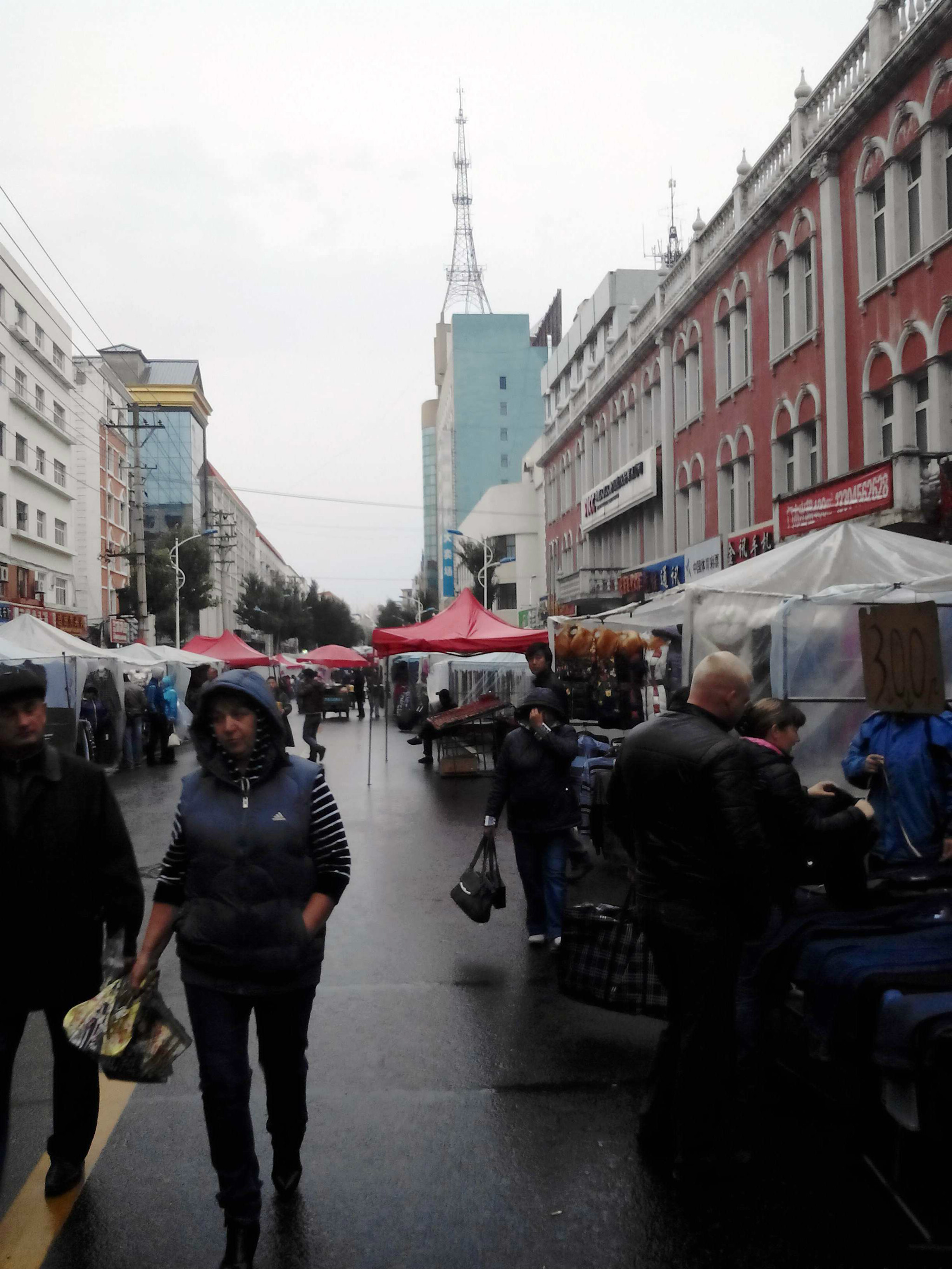 上甘岭溪水-汤旺河石林景区-嘉荫茅兰沟-嘉荫县乌云镇-爱辉镇-黑河市