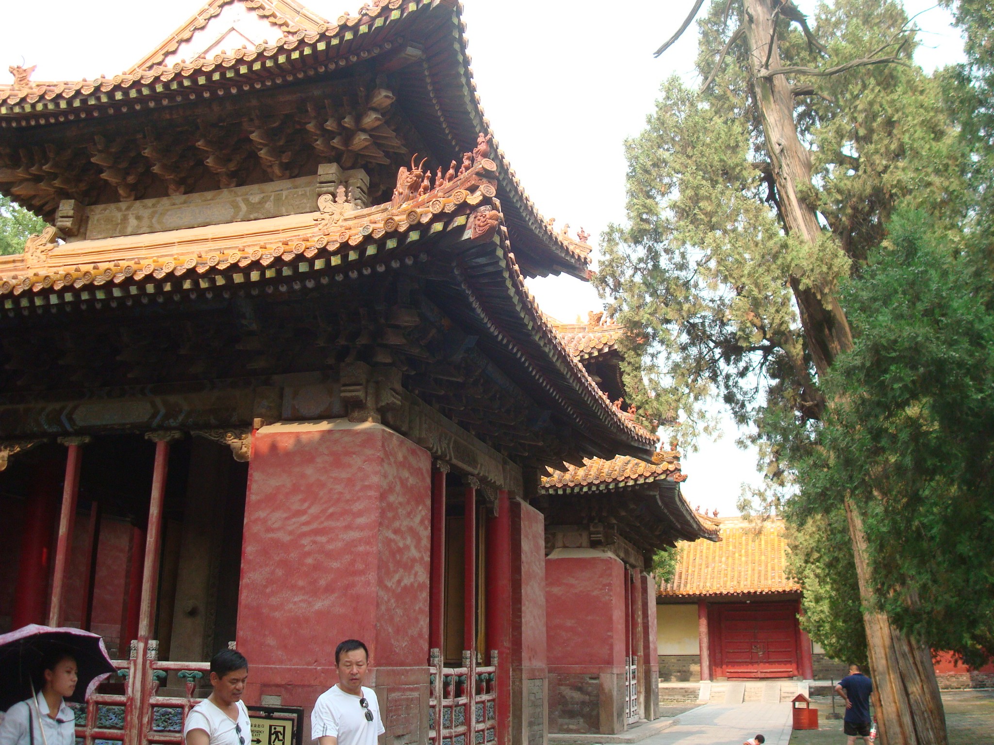 杏坛什么成语_成语故事图片(3)