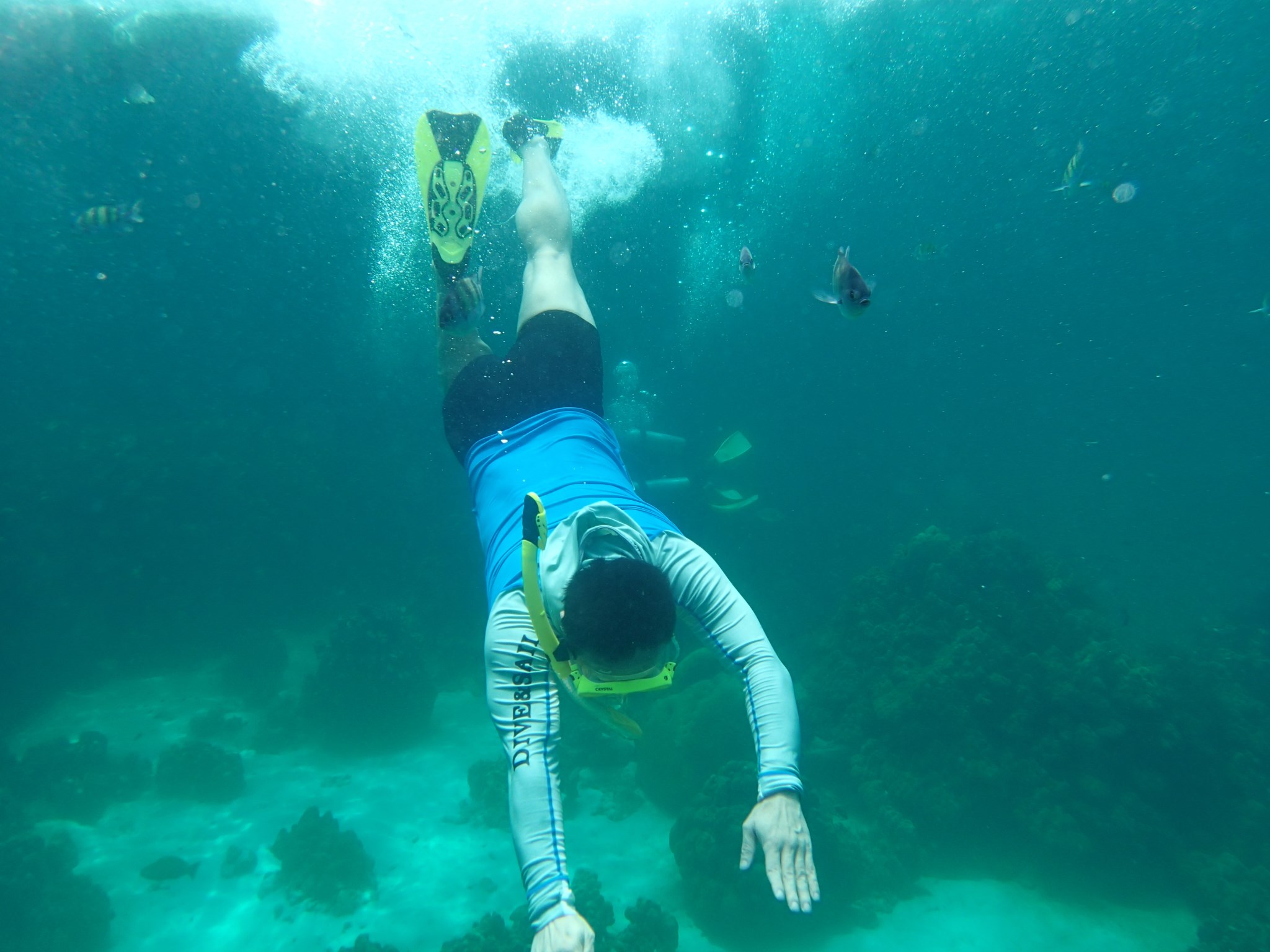 水族有多少人口_三月三 感受浓浓广西民族风 一(3)