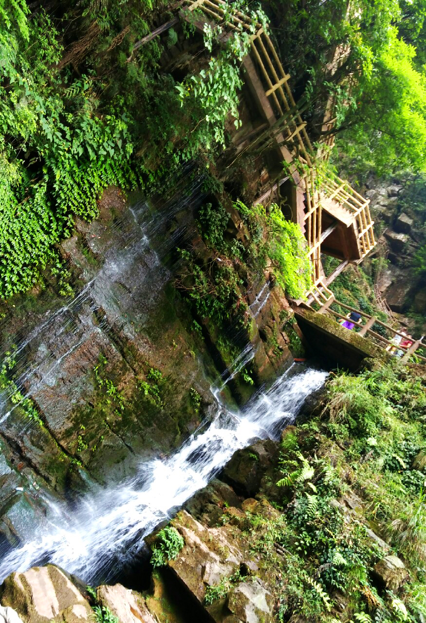 成都-邛崃-雅安碧峰峡一日游