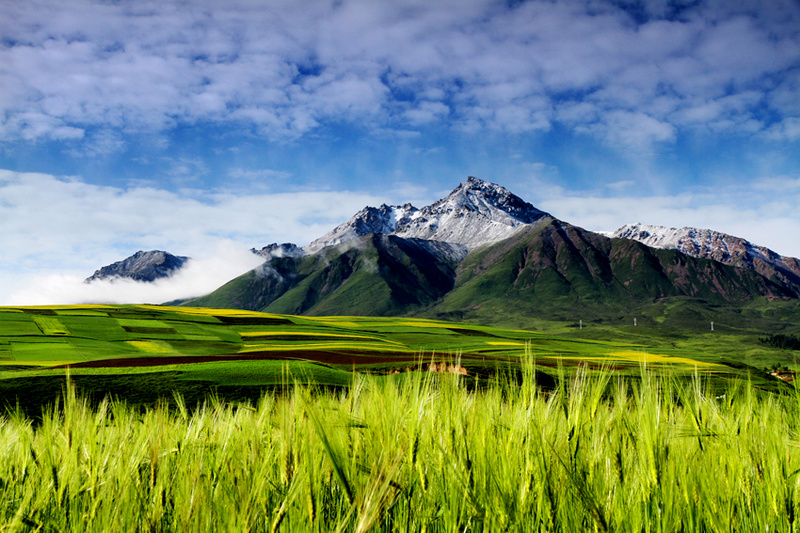 牛心山