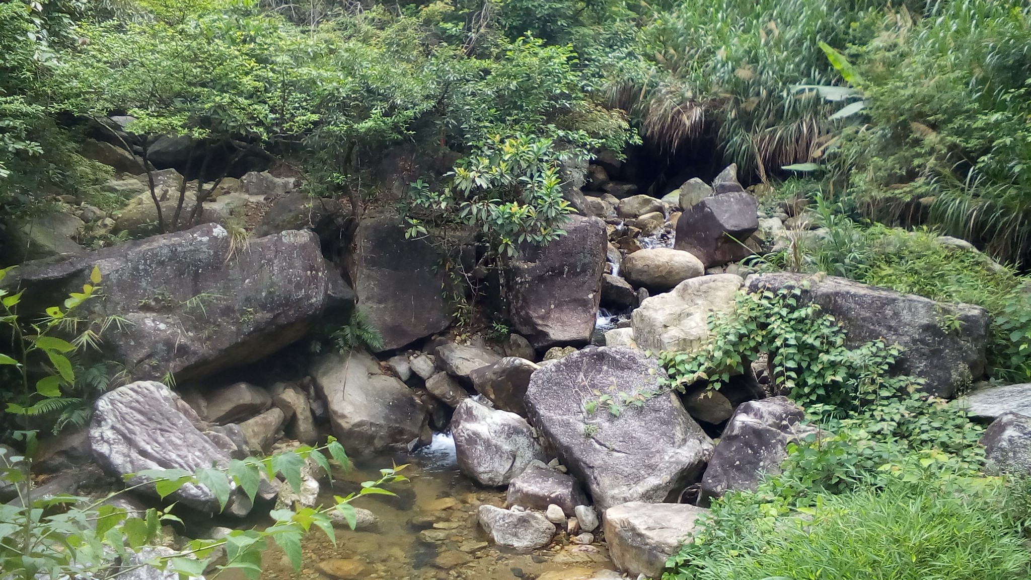 消夏计划#变幻云海:从化老虎头,五指山,徒步10小时!