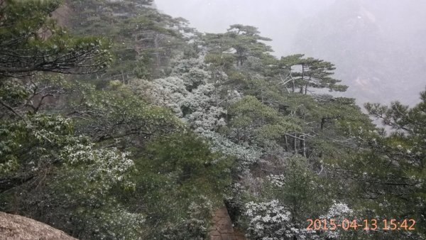 本人三次游黄山的经验总结(纯攻略),黄山自助游攻略