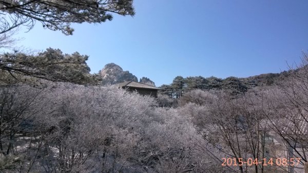 本人三次游黄山的经验总结(纯攻略),黄山自助游攻略