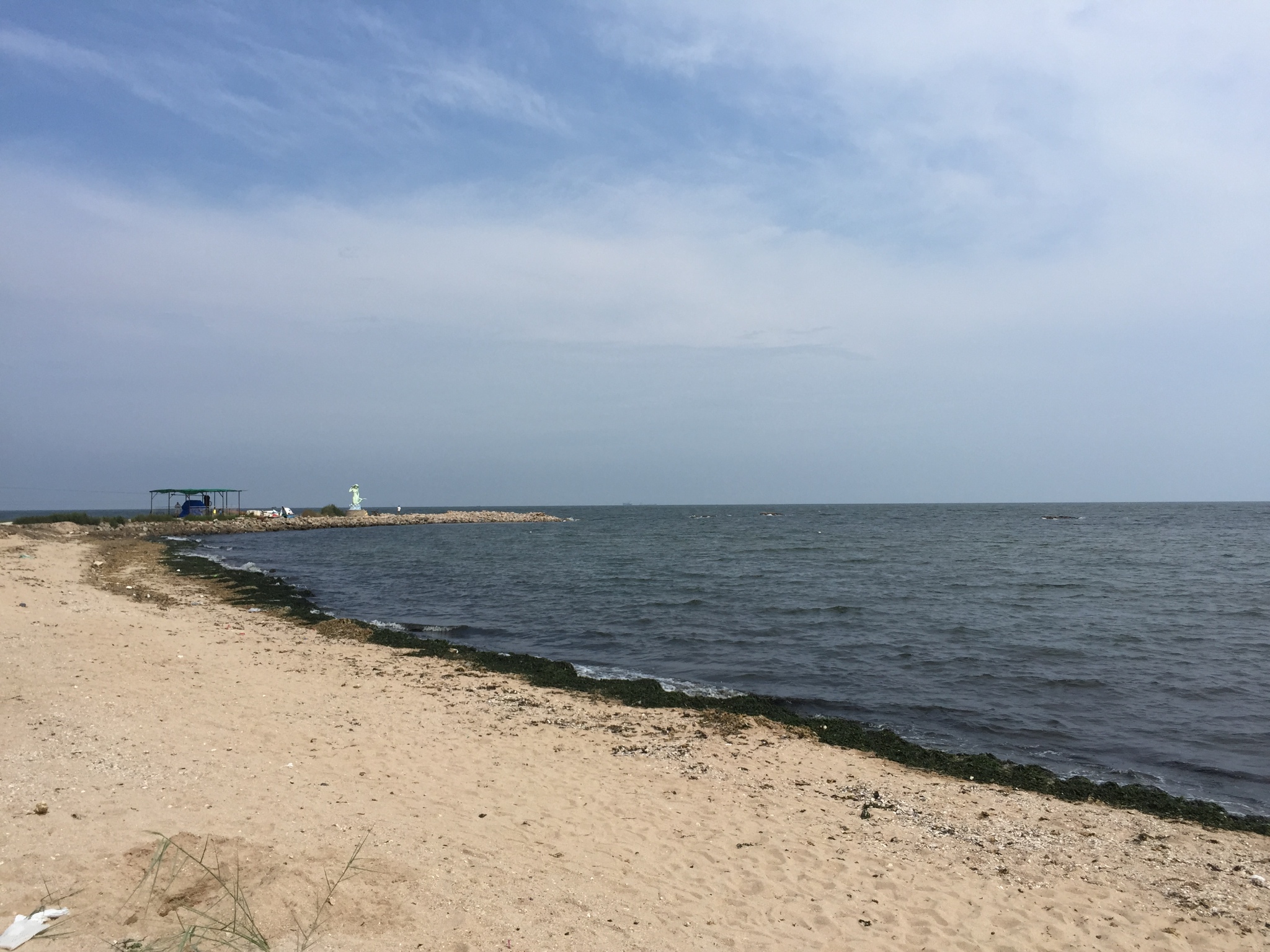 浴场老总_巴西海滩天体浴场图片(3)