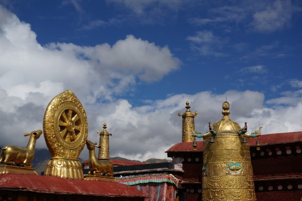 啥叫同宫 wKgBpVXygF2AI8HKAAh6-PhXKDQ42.jpeg?imageView2%2F2%2Fw%2F600%2Fh%2F600%2Fq%2F90