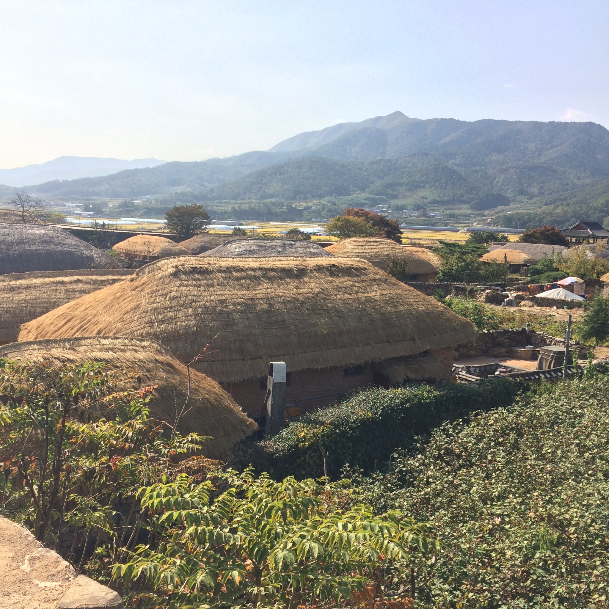 为了保存这些个古代民俗建筑,纪念郡守的善政,村民们设立了专项资金善