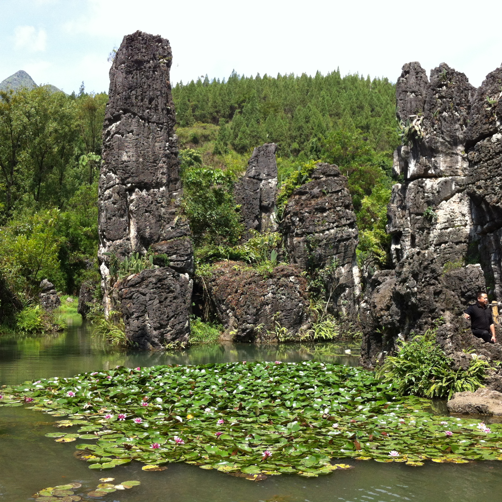 镇宁旅游景点