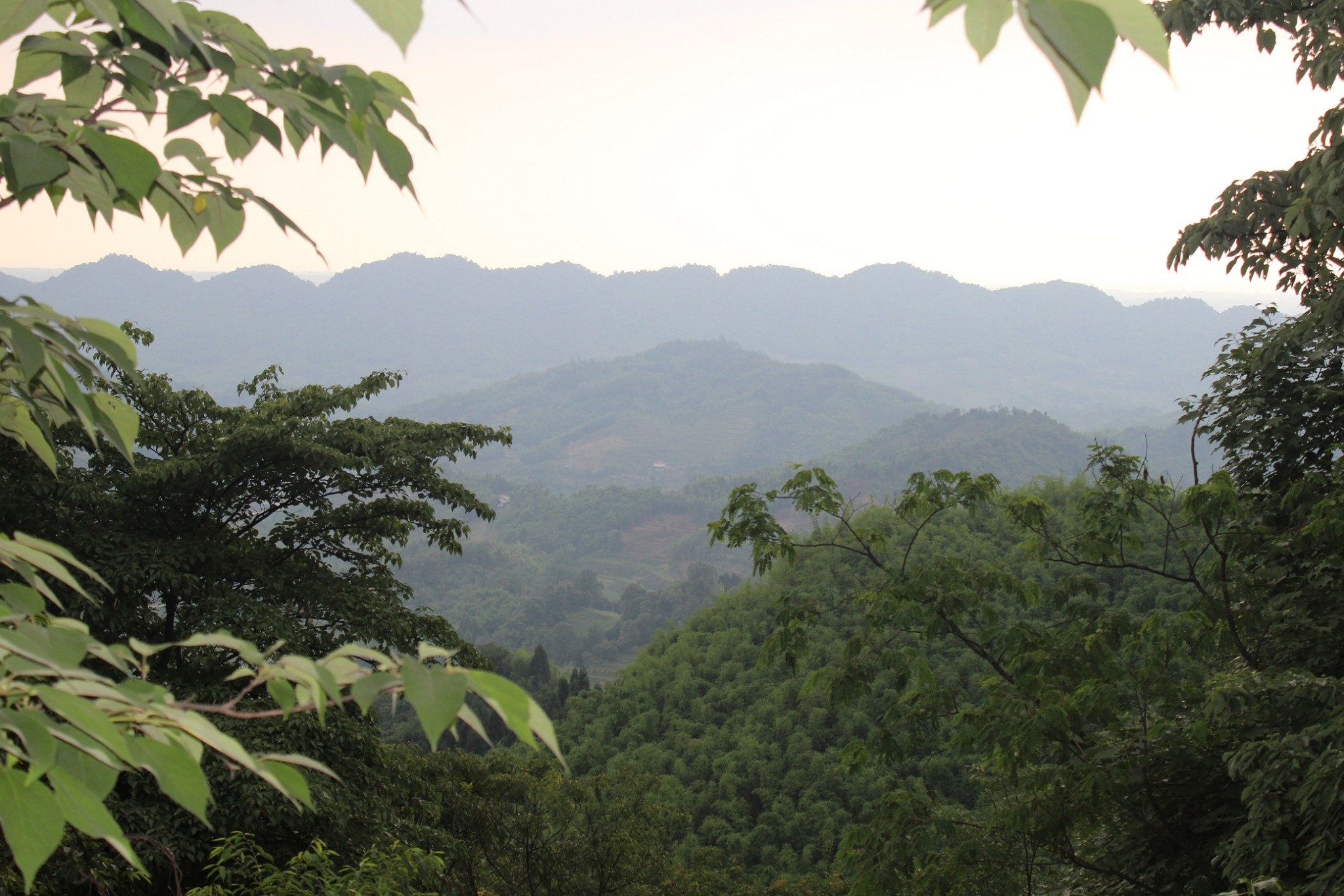 邛崃天台山国家森林公园     
