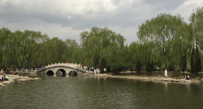 阿尔丁植物园游玩攻略,阿尔丁植物园游玩攻略大全