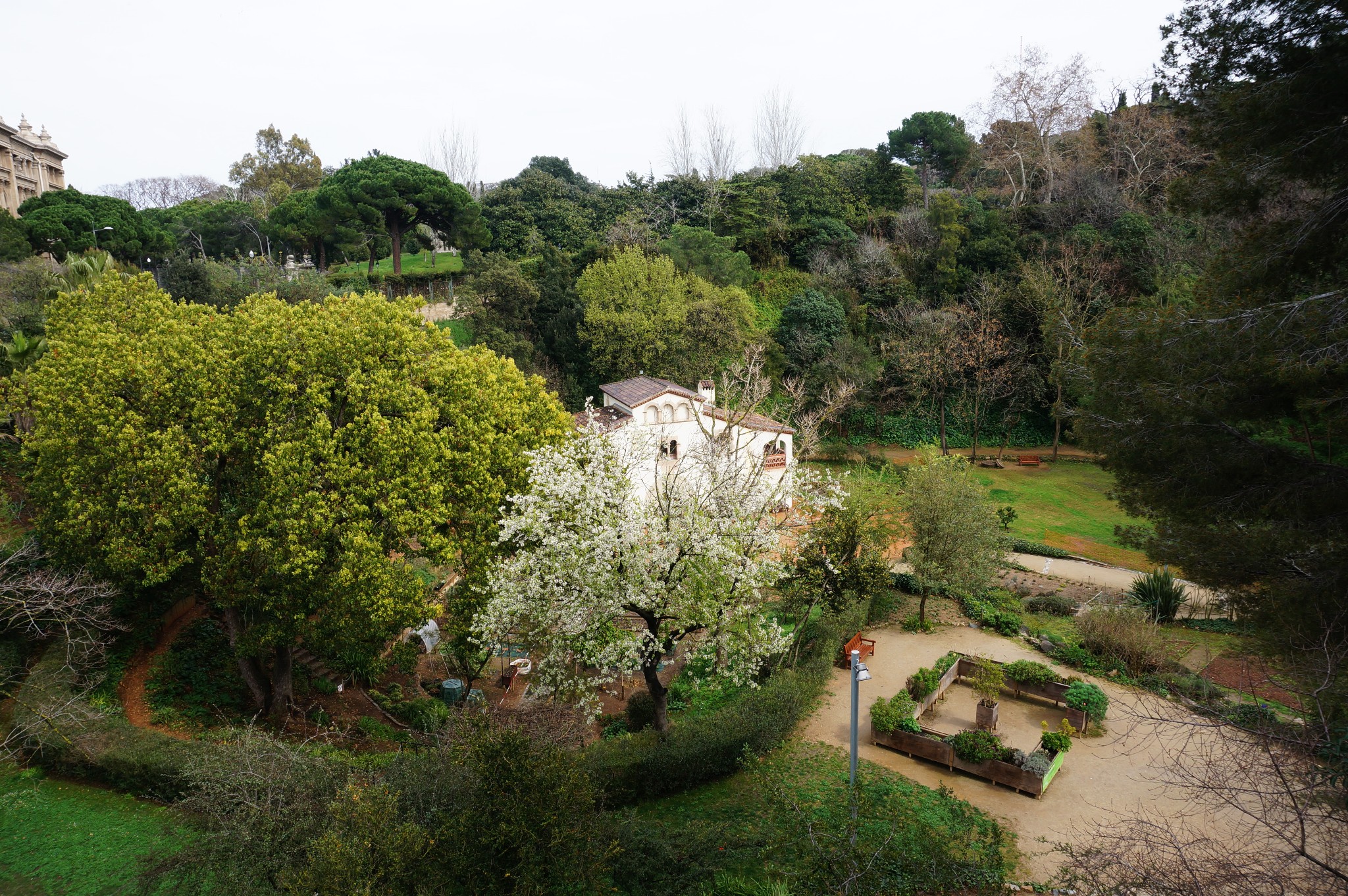 蒙锥克山(moutain montjuic)