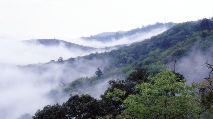 师宗菌子山门票