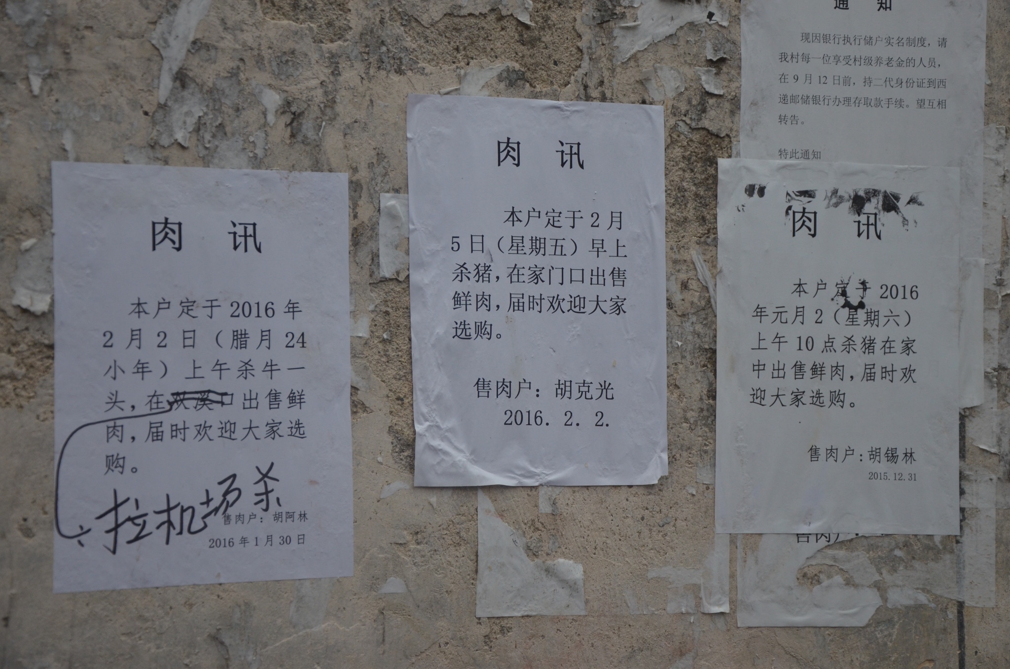 全姓排名_全姓头像(2)