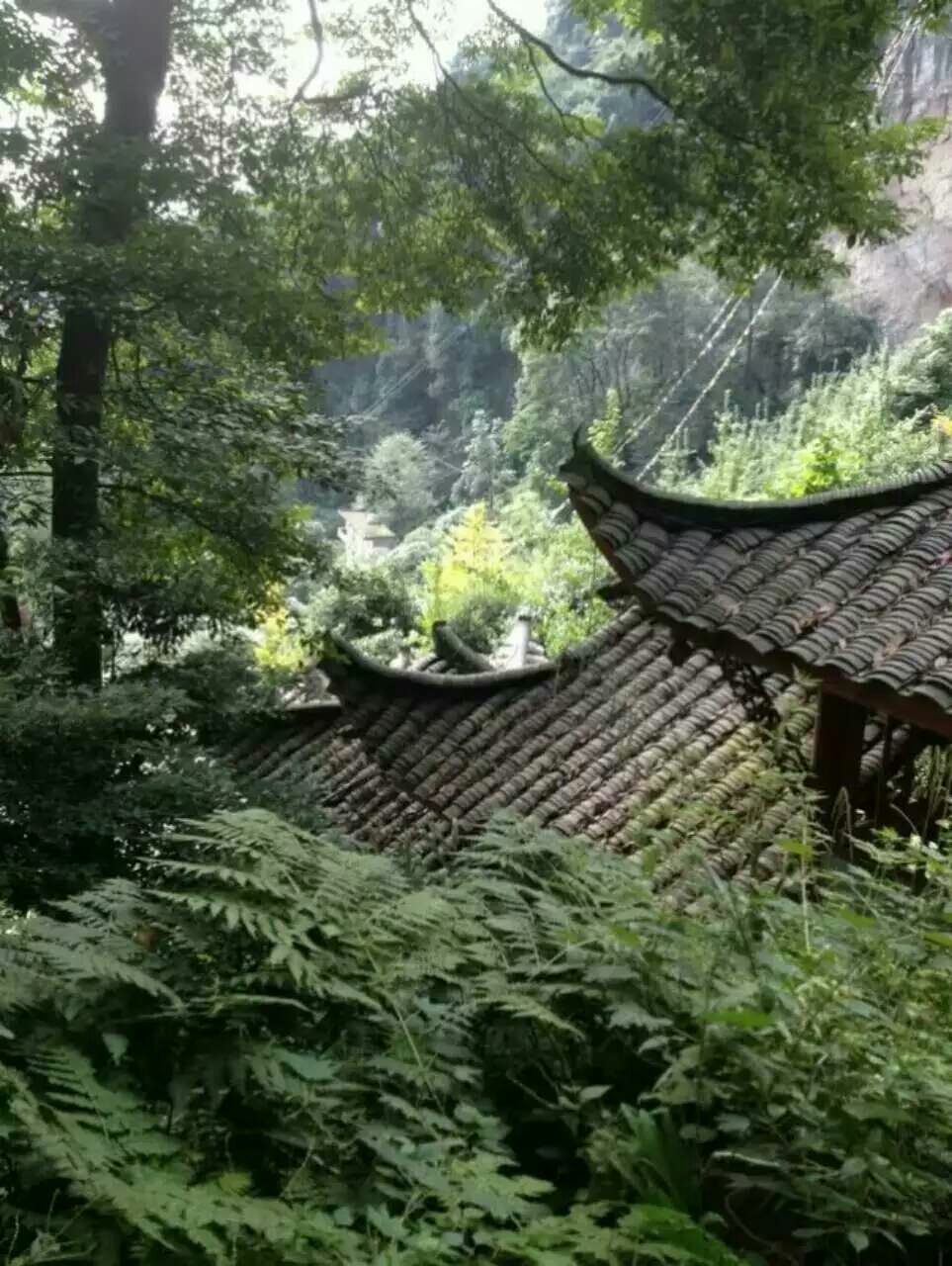 崇州市红岩 藏传佛教寺庙 骑行,崇州旅游攻略 - 马蜂窝