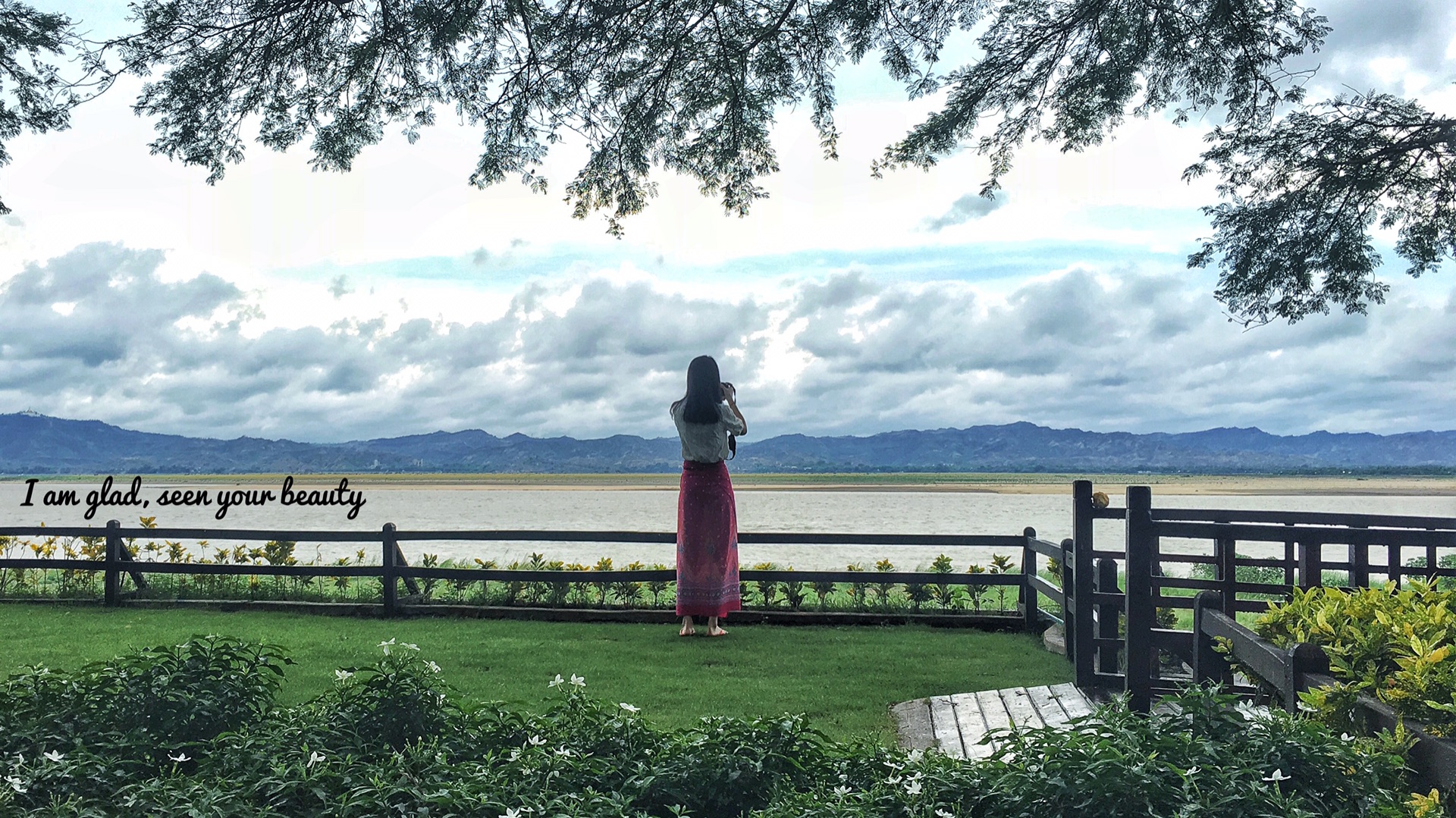 一盆花猜成语_一盆花图片(3)