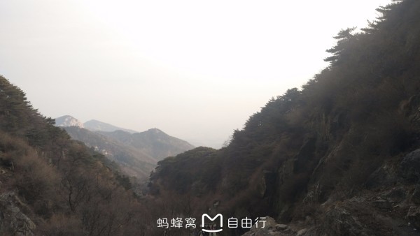 泰山有多少个台阶每个台阶多高 wKgBs1a8oPSAbpQEAARrYhlUBNI17.jpeg?imageView2%2F2%2Fw%2F600%2Fh%2F600%2Fq%2F90