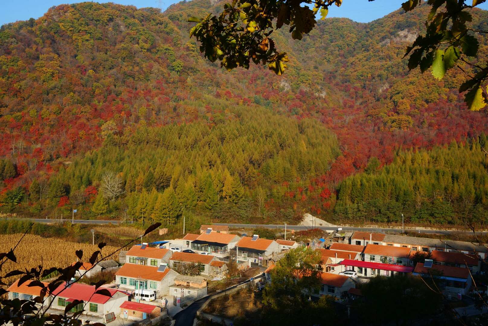 本溪人口2017_北方有大美,2017国庆天津出发自驾红色本溪,金色阿尔山(3)