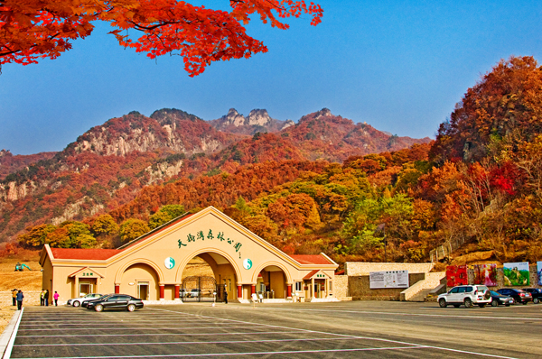 丹东天桥沟国家森林公园自驾门票(可爬山 可看景 可赏花 一季一世界