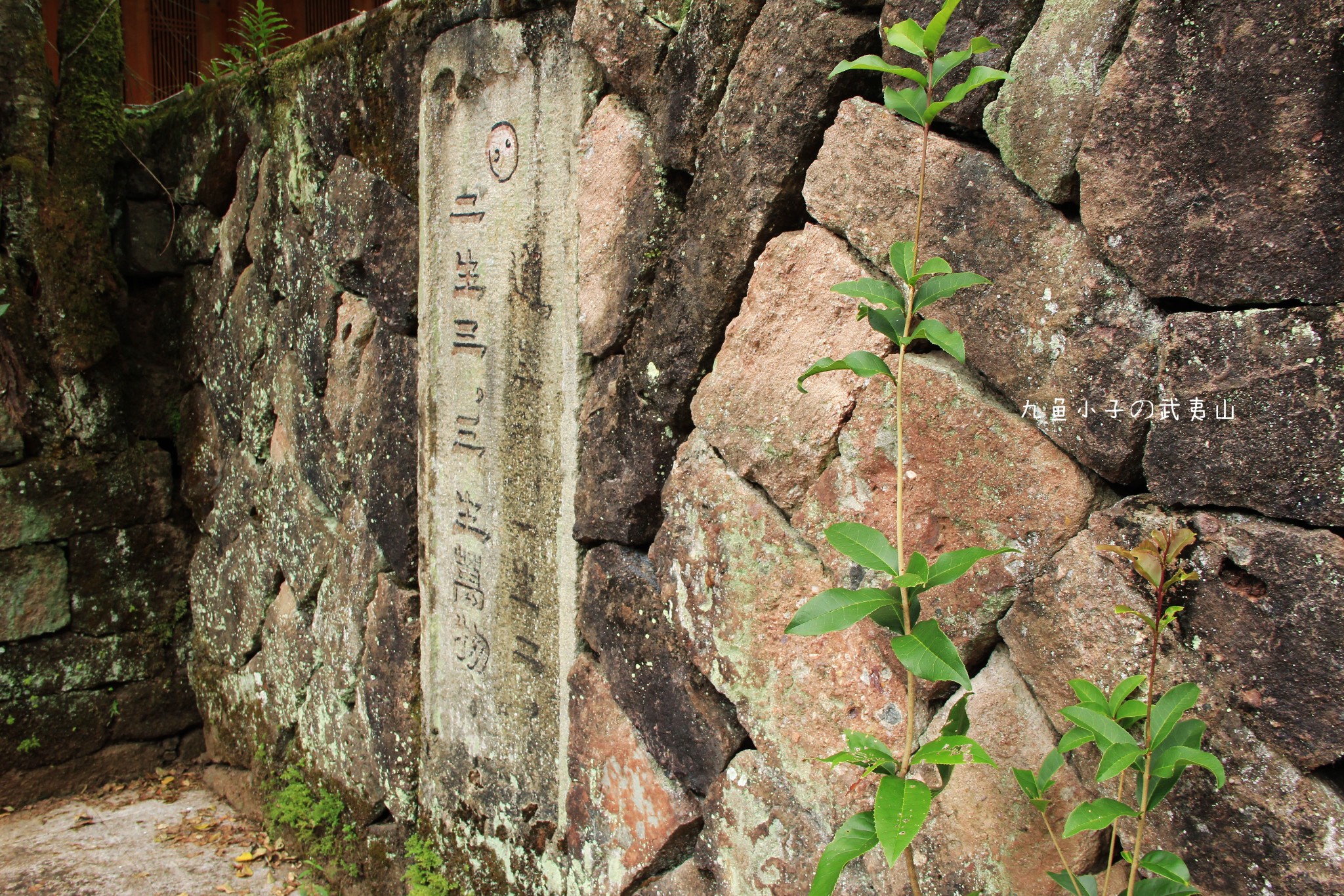 武夷山止止庵