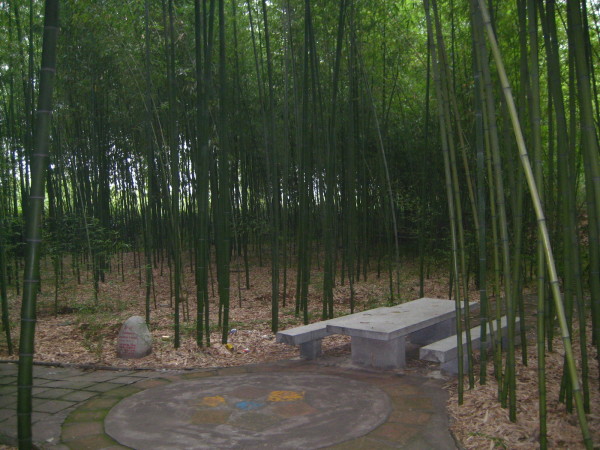 百竹园游玩攻略,百竹园游玩攻略一日游