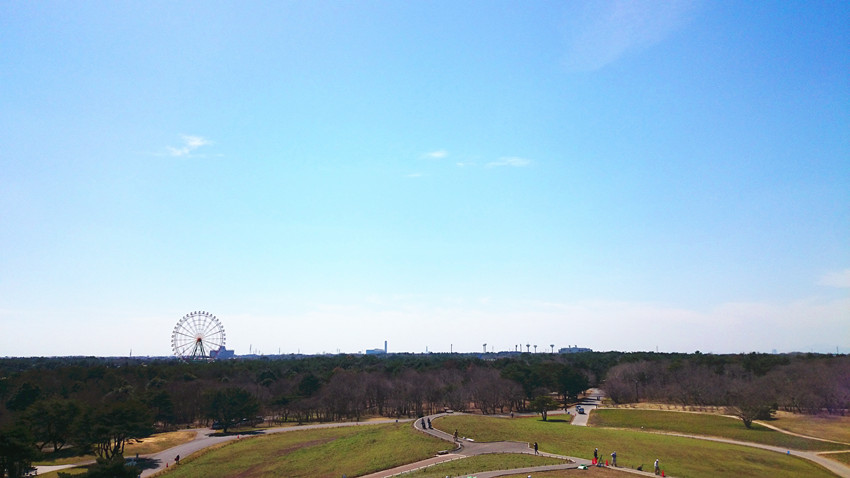 华西村人均收入_人均6000吃什么(2)