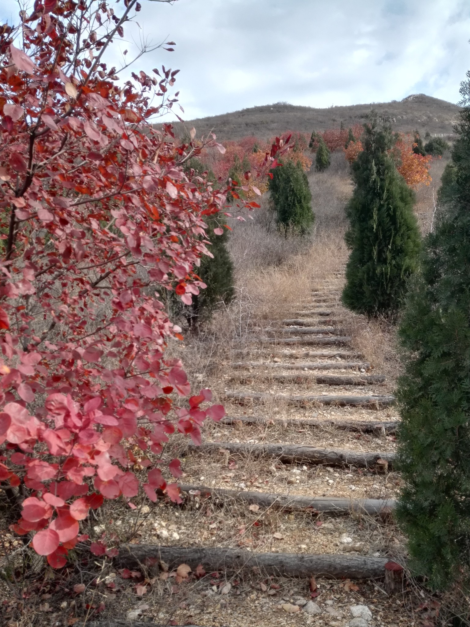 北京郊区顺义有个浅山登山步道