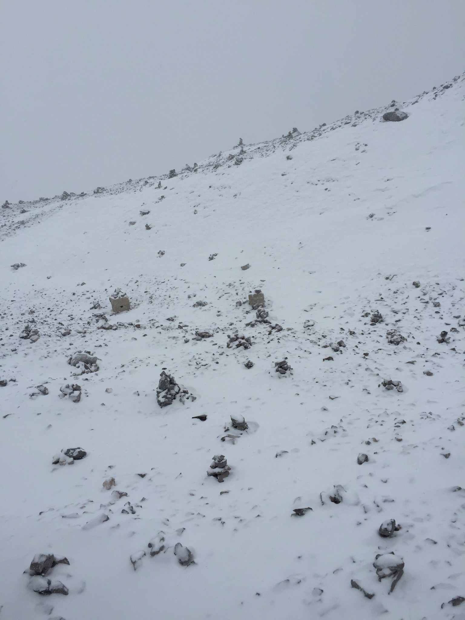 wKgBs1binsWACIs0AAZ9uGPm7nI00.jpeg?imageView2%2F2%2Fw%2F600%2Fh%2F600%2Fq%2F90