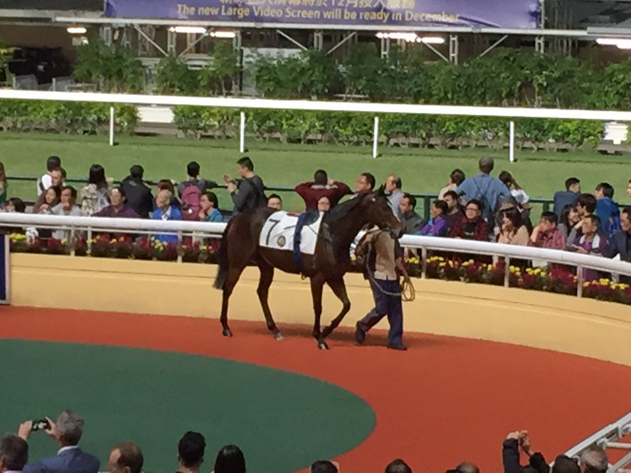 香港澳门自由行图片38,香港旅游景点,风景名胜 - 马