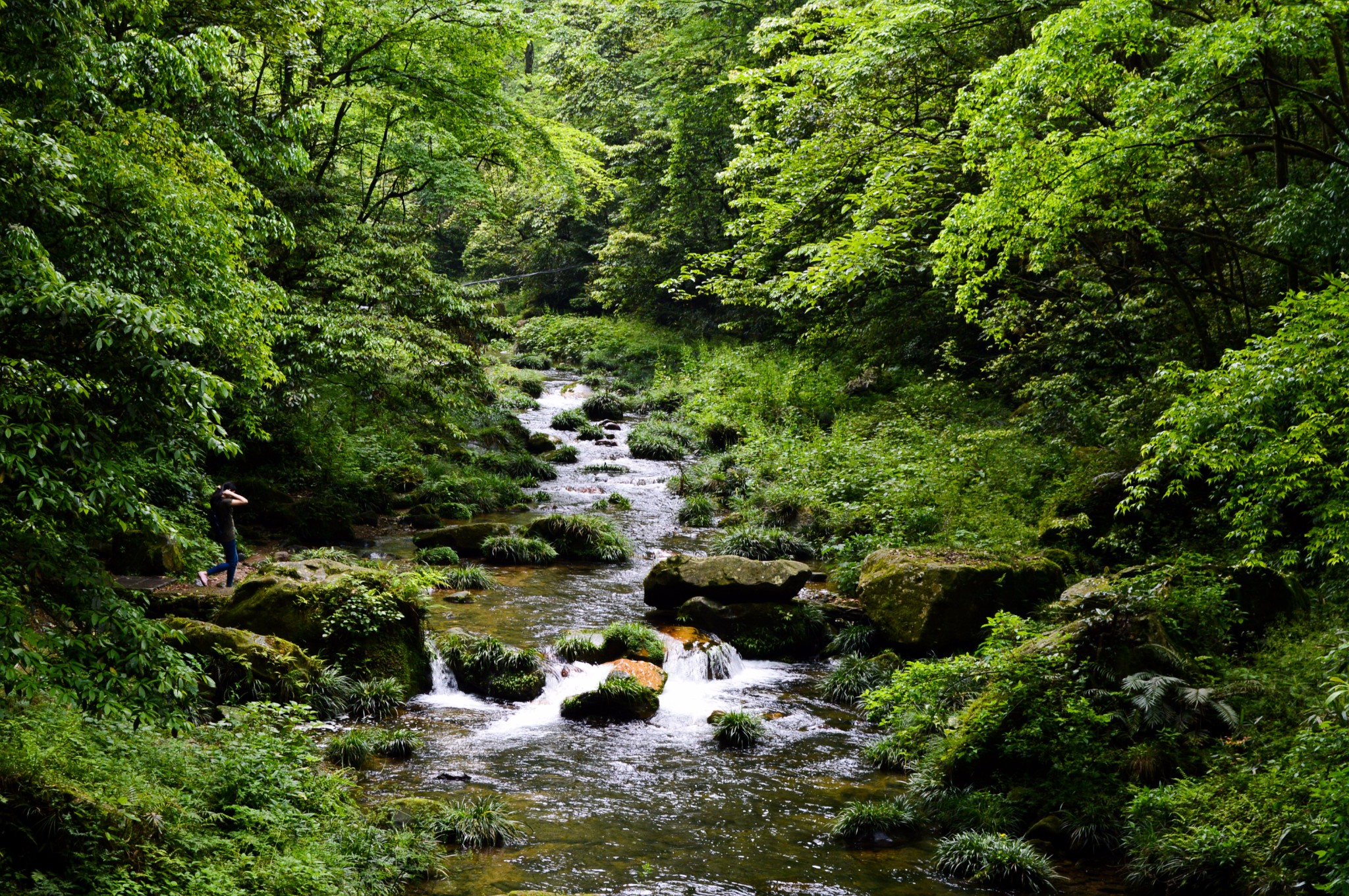 衡山经济总量_南岳衡山图片(2)
