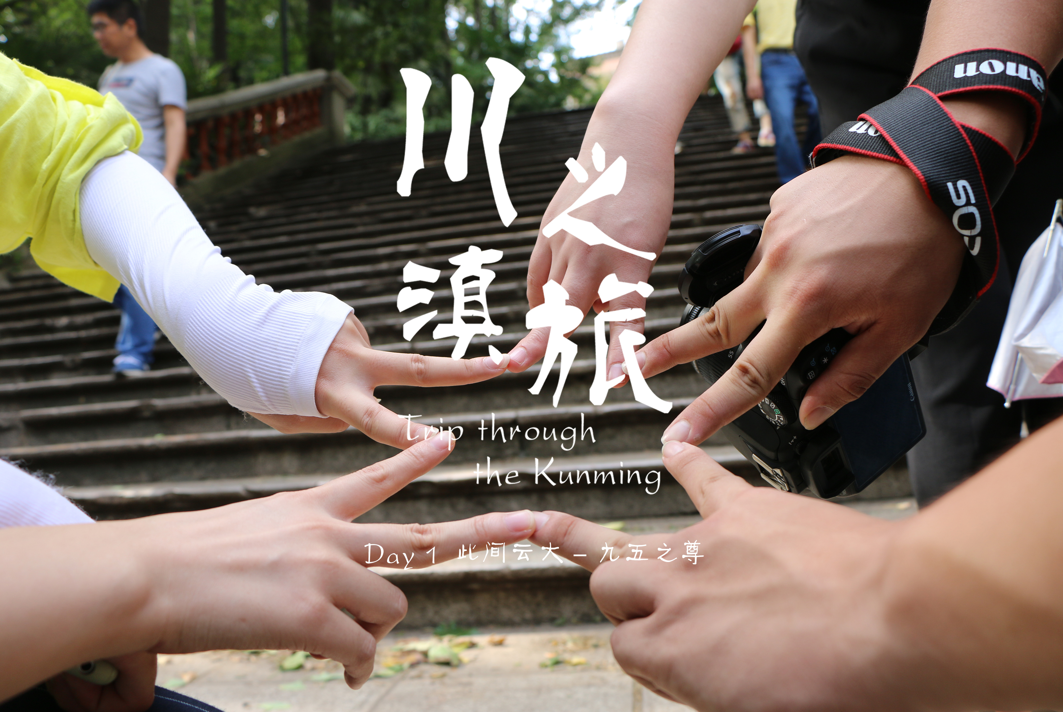 【沈阳到昆明特价机票】沈阳到昆明打折特价飞