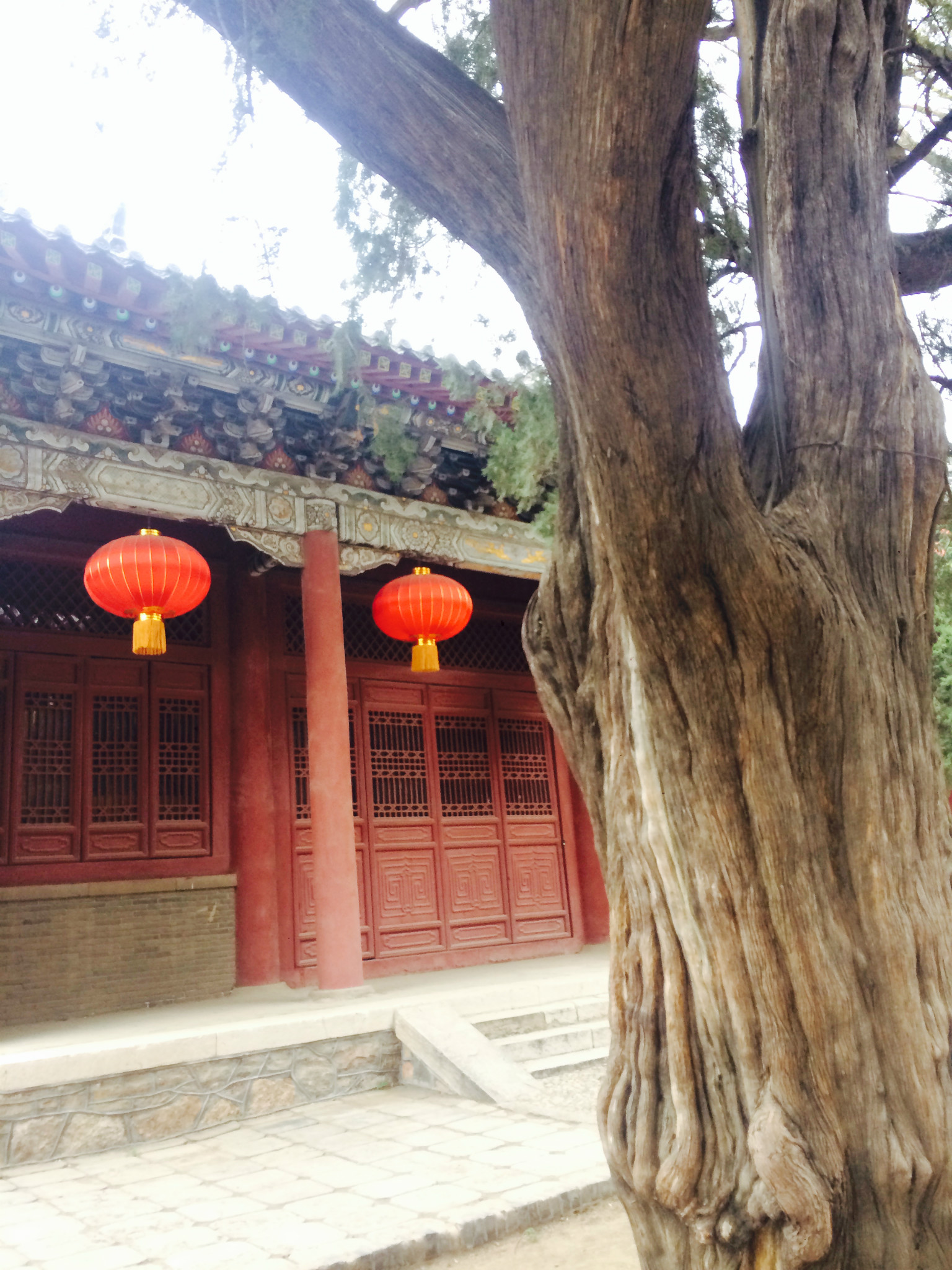 拧成什么成语_拧成一股绳图片(3)