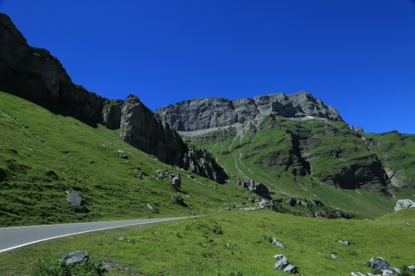 山上美景的歌曲 wKgBs1fVi7WAIqygABAzEfIuNDM14.jpeg?imageView2%2F2%2Fw%2F600%2Fh%2F600%2Fq%2F90