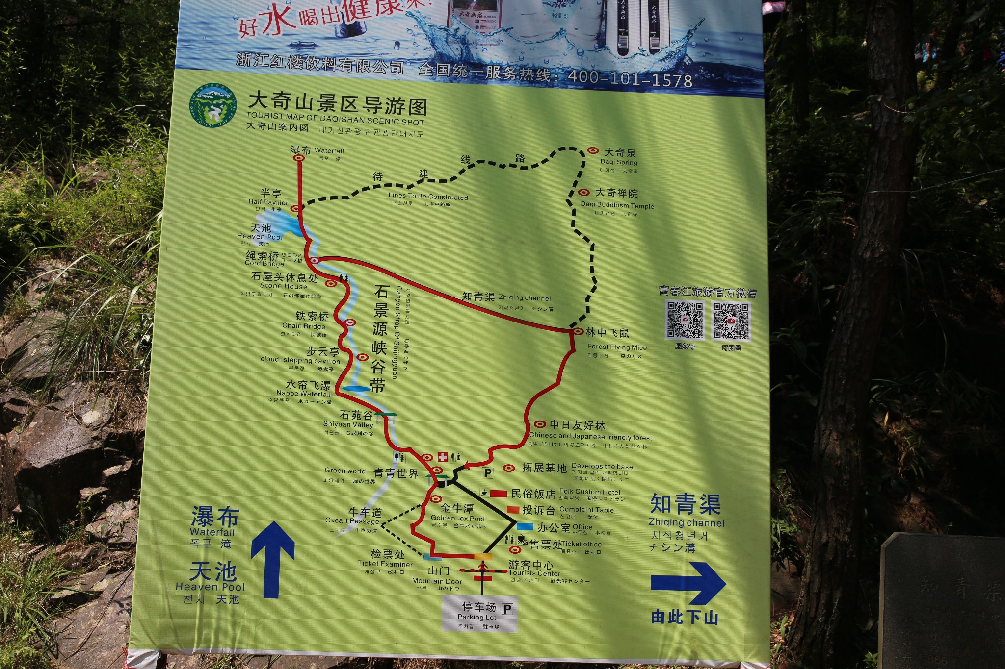 桐庐大奇山森林公园一日游