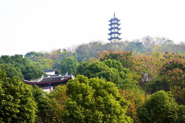 范蠡祠后身金鸡山上的金鸡塔.摄影/黄华