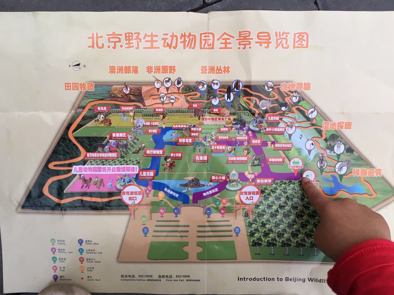 北京野生动物园一日游