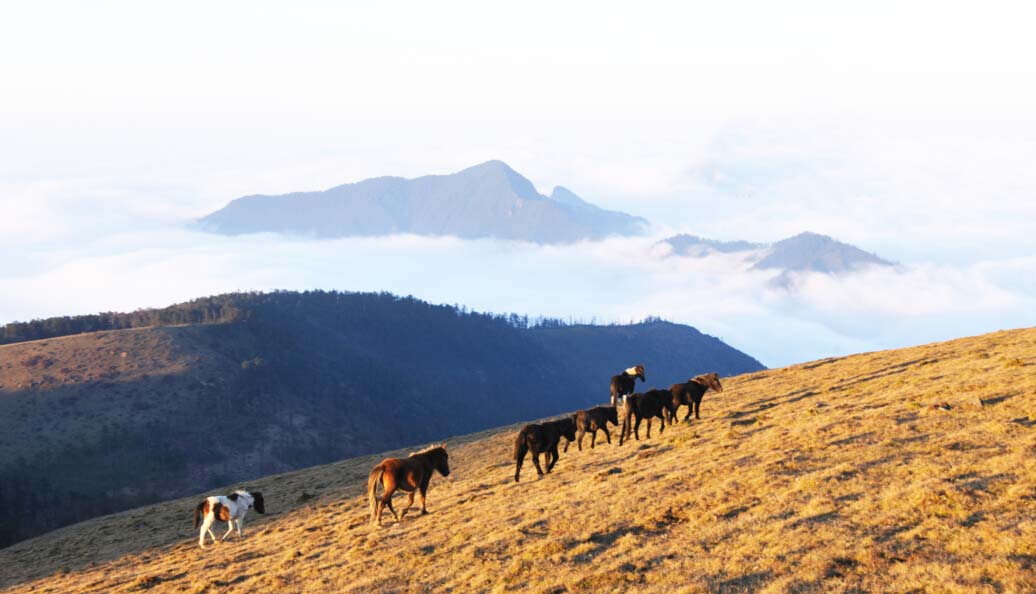 马边彝族自治县旅游