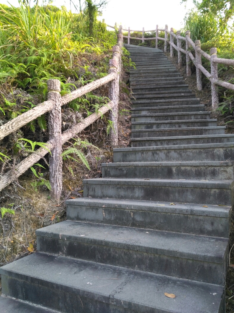 三岭山国家森林公园位于中国大陆最南端——湛江市区西南.