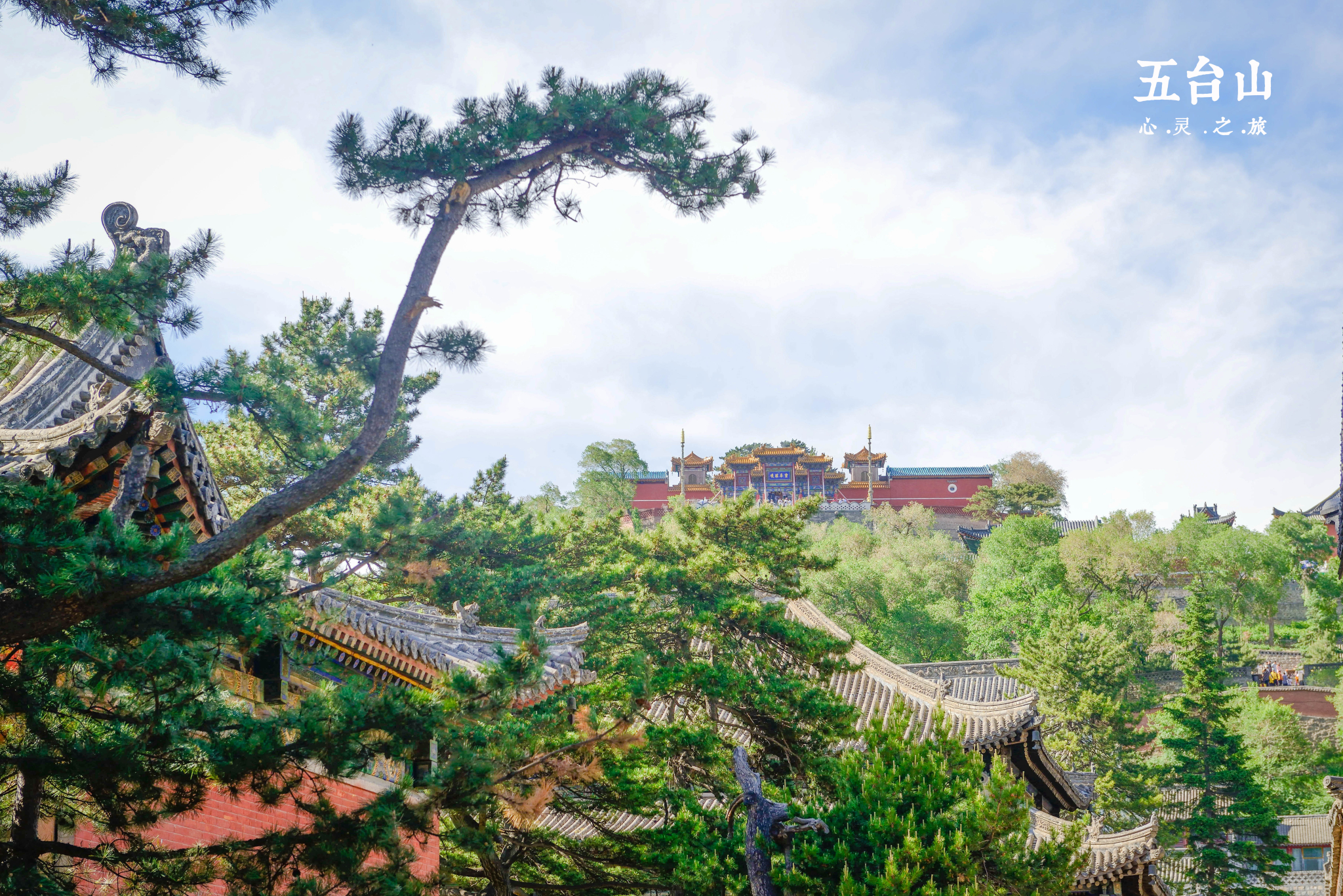 五台山门票多少钱，五台山有学生票吗？