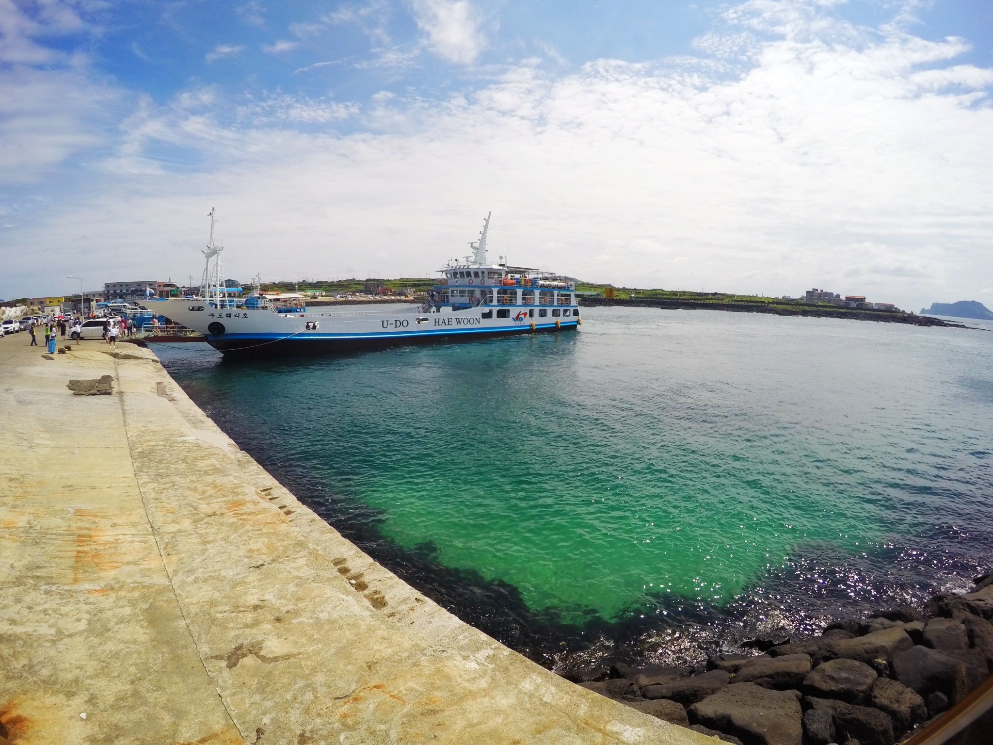 济州排名_济州真柏盆景图片(3)
