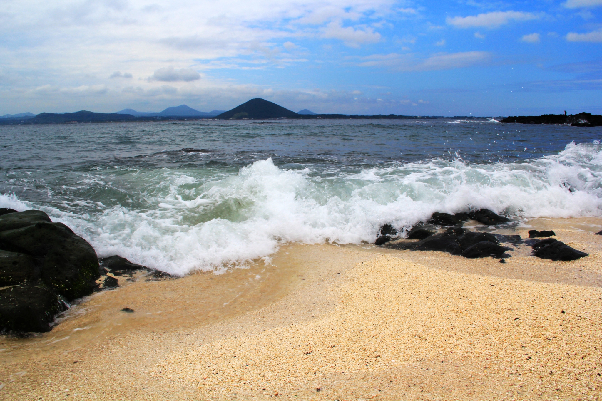 济州排名_济州真柏盆景图片