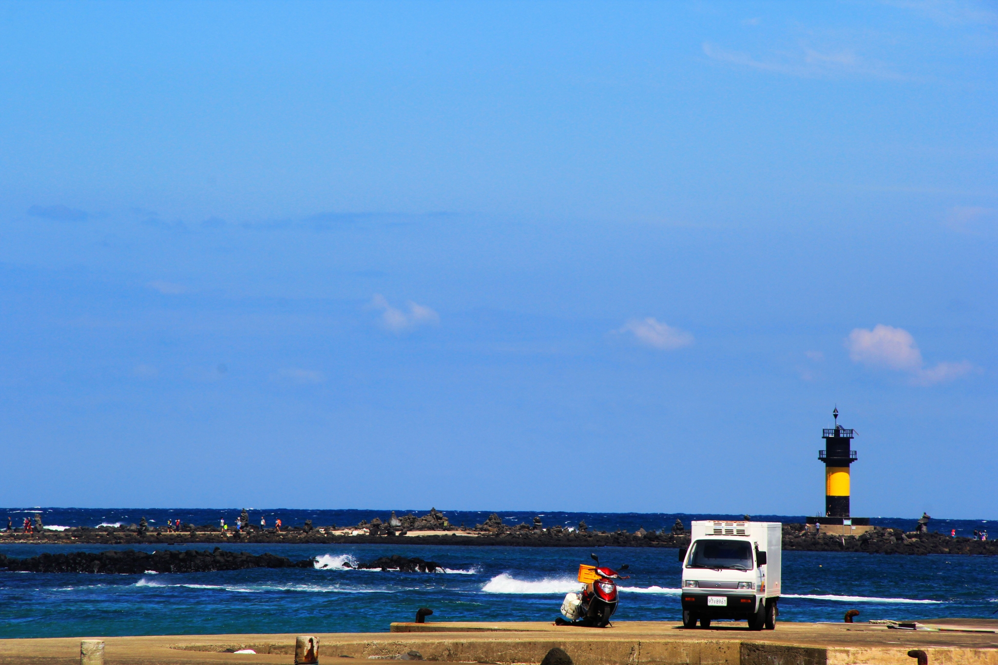 济州排名_济州真柏盆景图片(3)