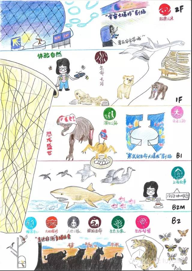 小鱼涂鸦带你游上海自然博物馆(升级版2.0)