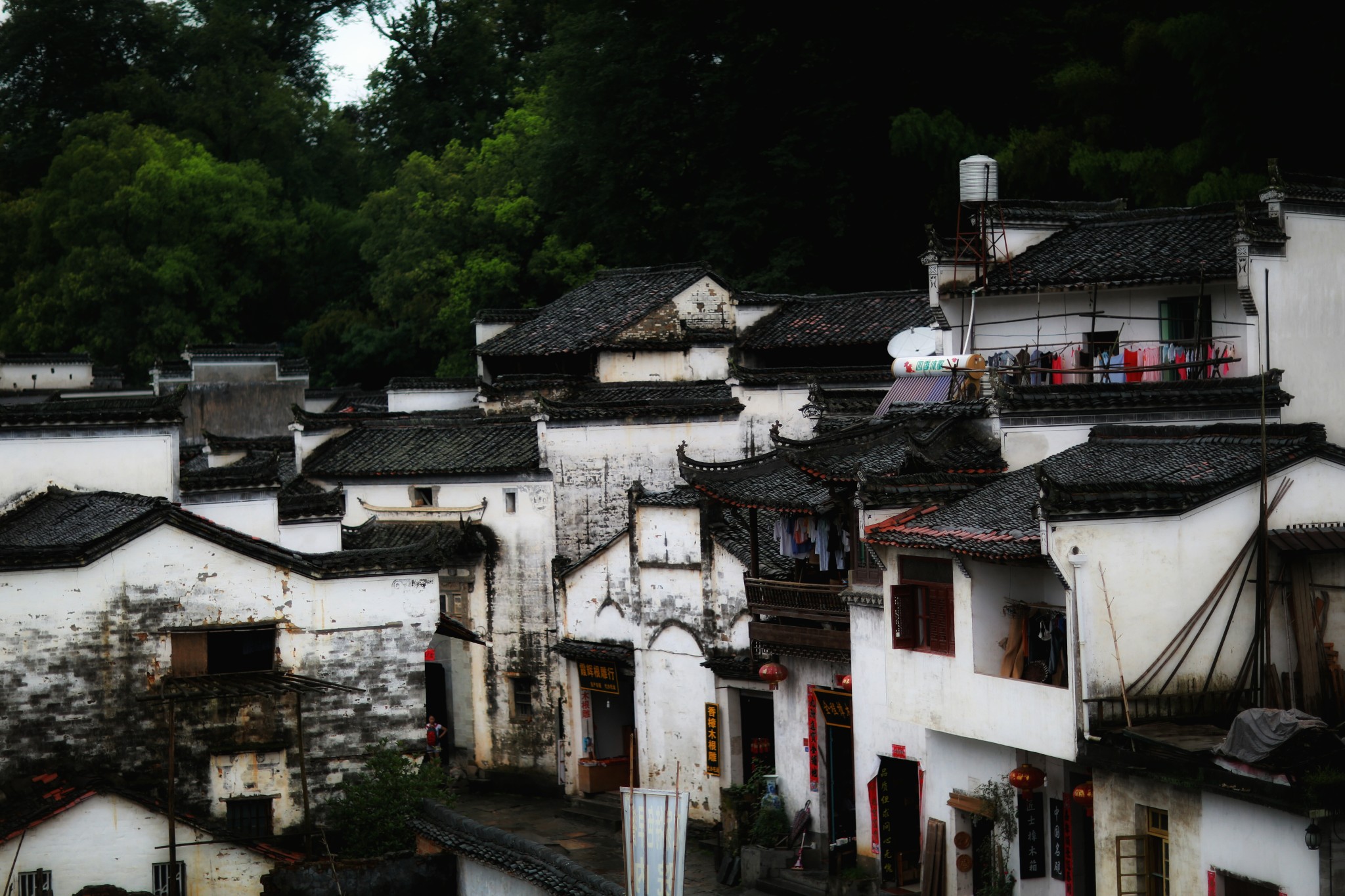 山重水路疑无路柳暗花明又一村猜成语