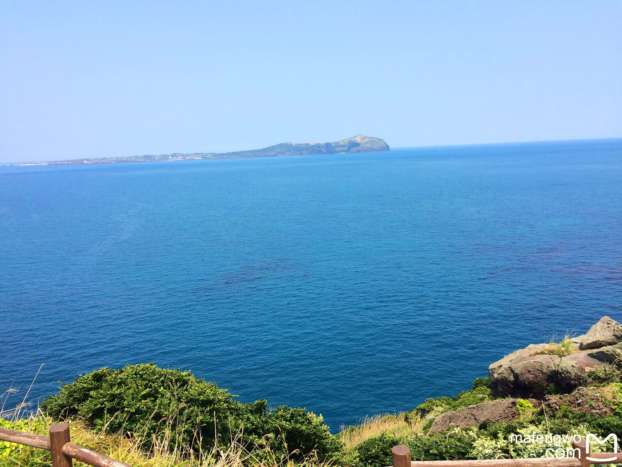 济州排名_济州真柏盆景图片(2)