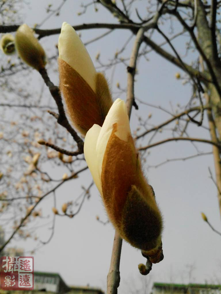 wKgBs1bnwI-Ac69DAAXbyS5PXwY07.jpeg?imageView2%2F2%2Fw%2F600%2Fh%2F600%2Fq%2F90