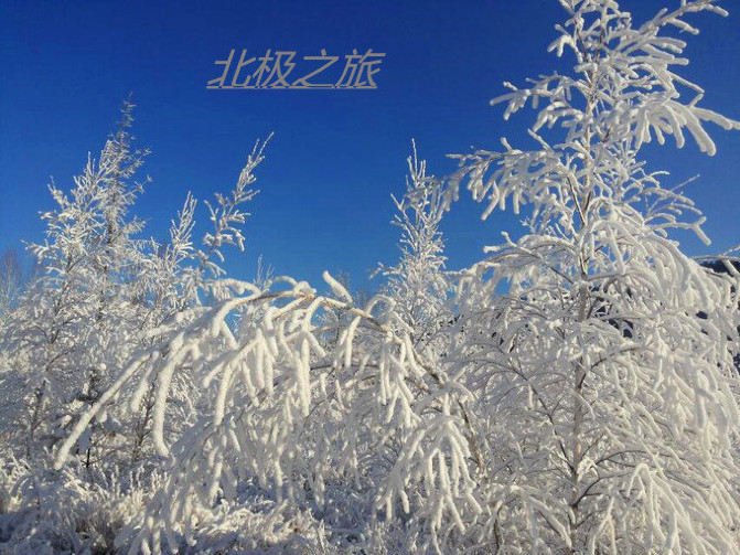 wKgBs1gPAXSAFJHVAAJo8u5_jX063.jpeg?imageView2%2F2%2Fw%2F680%2Fq%2F90%7CimageMogr2%2Fstrip%2Fquality%2F90